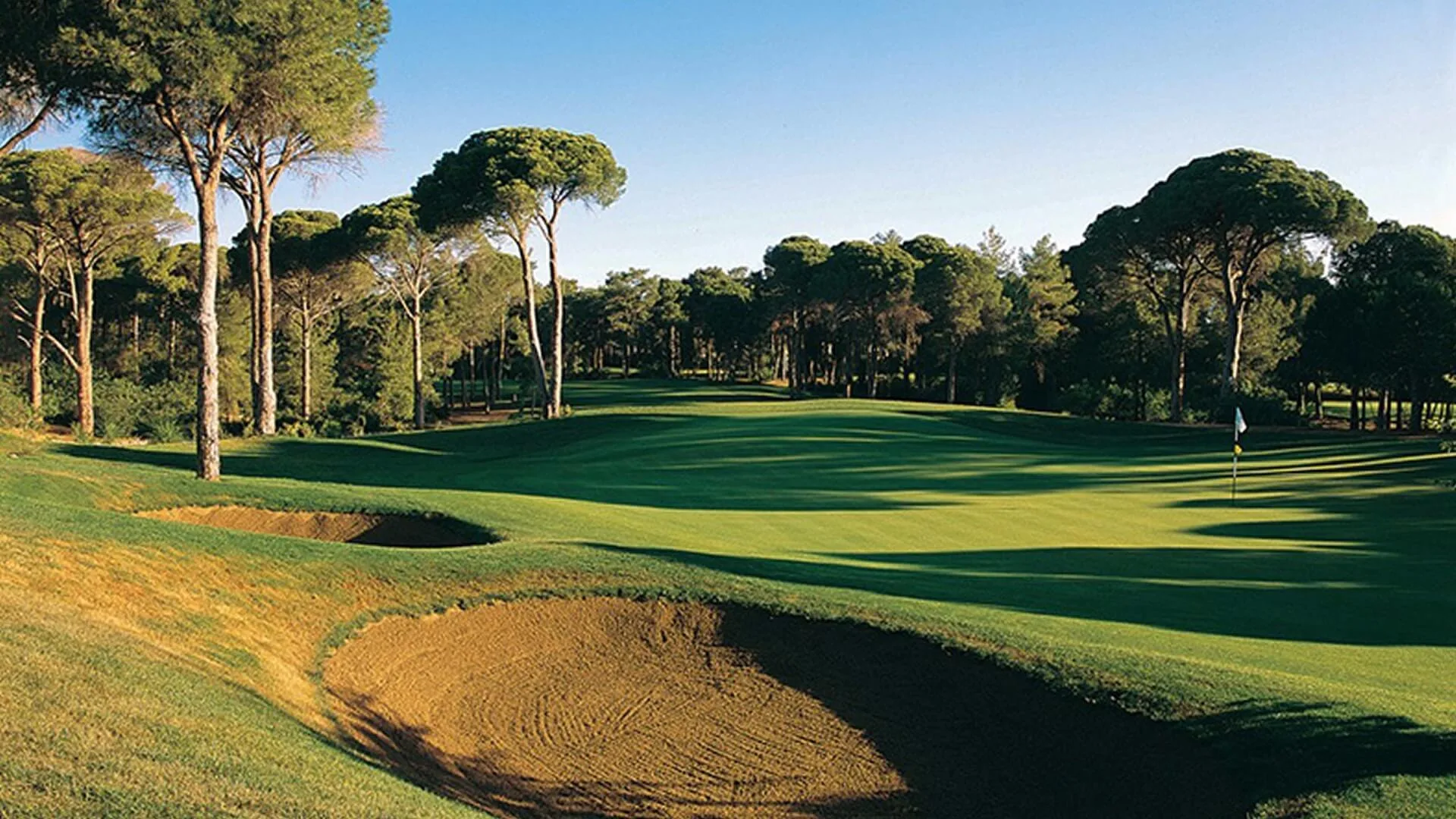 Tree-lined green at the Cornelia Golf Club Faldo Course