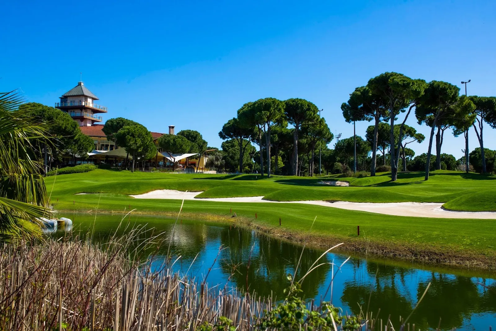 Pine-lined golf landscape at Montgomerie Maxx Royal