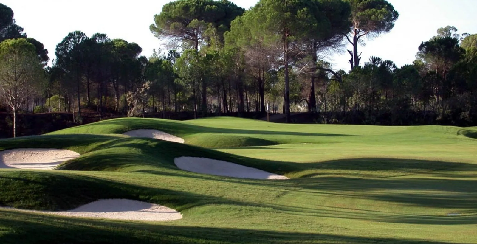 Fairway and pines on The Pasha Course
